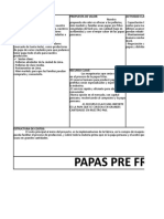 Plan de Negocios - Canvas Papas Pre Fritas