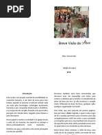 Breve Visão Da Arca - TESTE