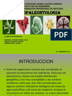 1-Exposicion Micropaleontologia Radiolarios