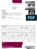 Radiography Pocket Guidecdo Pozicion Per Pjeset Anatomike Dhe Dozimi