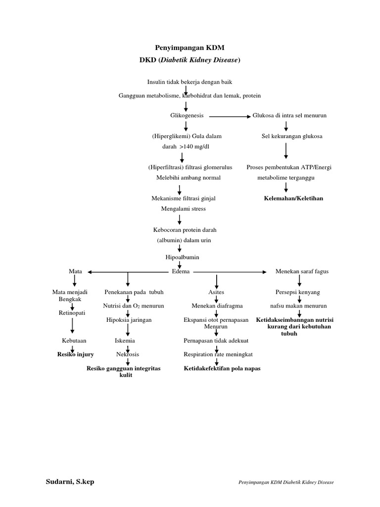 Komplikasi Diabetes pada Ginjal | PDF