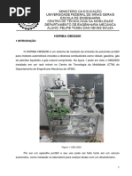 Horiba Obs2200 Manual de Instruções