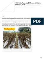 Ajaib Panen Tomat 20 Kali Petik Rata-rata 20 Karung Dari Lahan - 560m2 Ibu Ai Tasikmalaya 2015