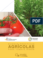 guia-tomate-rinon-final.pdf