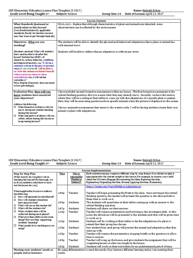 Lesson Plan 2 | PDF | Learning Styles | Lesson Plan