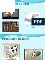 Producción leche vaca