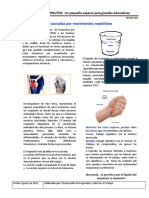 138243099-Info-037-SSO-Lesiones-Por-Movimientos-Repetitivos.pdf