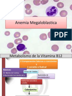 Anemia Megaloblastica: Causas, Síntomas y Tratamiento