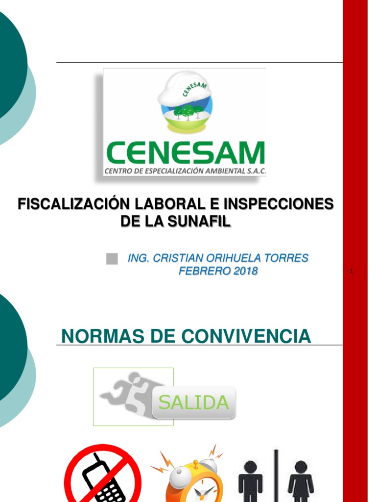 Fiscalización Laboral y SUNAFIL | PDF | Derecho laboral | Gobierno
