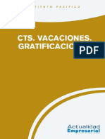 CTS, Vacaciones, Gratificaciones.pdf