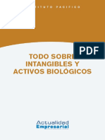 Todo Sobre Intangibles y Activos Biológicos