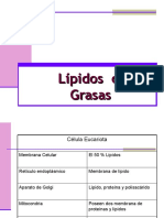 Lipidosograsas 111126091739 Phpapp02 PDF