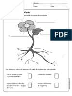 CN Cidelavida 1y2b N11 PDF