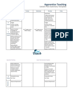 Apprentice Teaching: Lesson Plan Summary Template