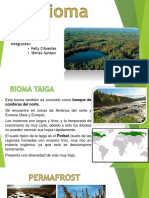 Bioma Taiga