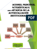 Consideraciones Principios y Caracteristicas de La Autoevaluacion