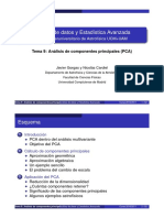 Tema09 x2 PDF