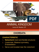 Animal Kingdom Chordata