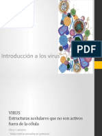 Introducción a Virus Completo