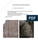 Zonificacion de Los Depositos de Piedra Caliza en Planta Viacha Soboce S