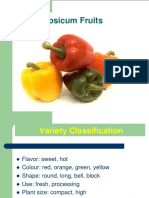 Pepper, Tomato, Cucumber Presentation PDF