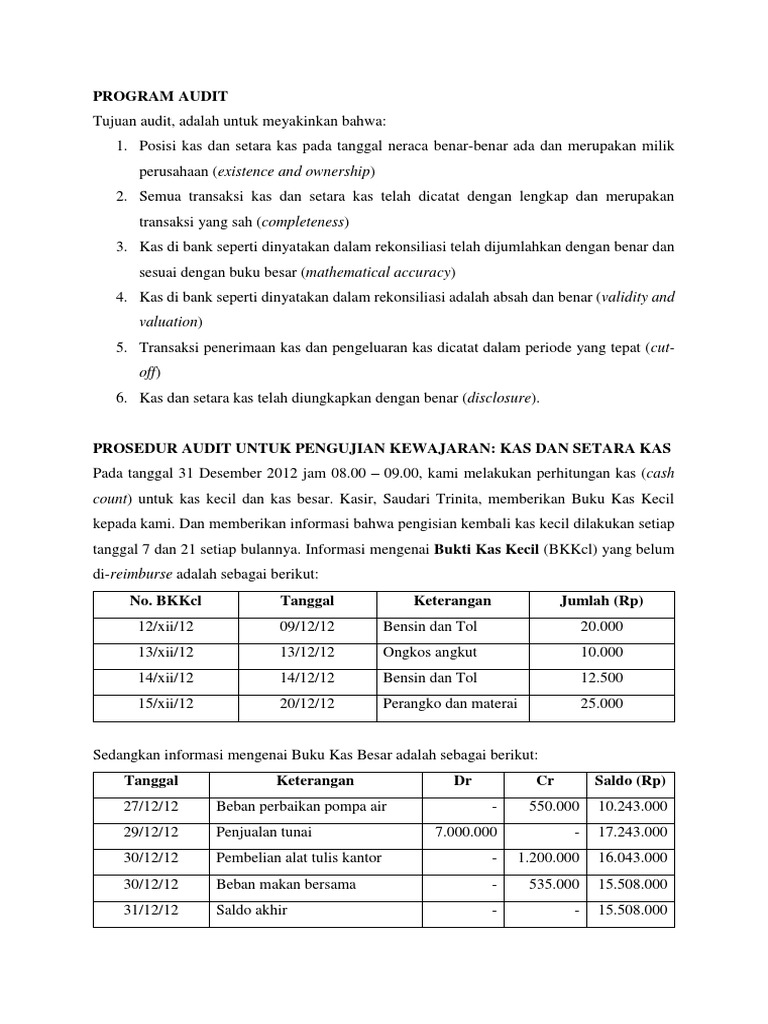 Program Audit | PDF