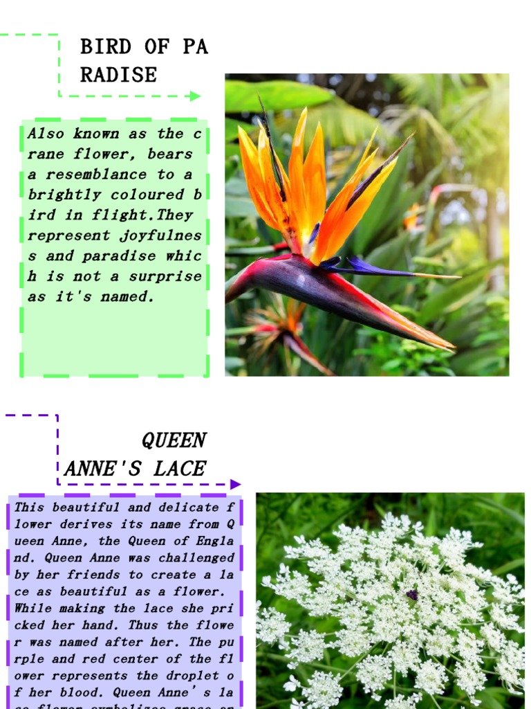 Language of Flower | PDF