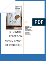 Intern Report On Karmo PDF