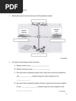 Geografi Ting 1