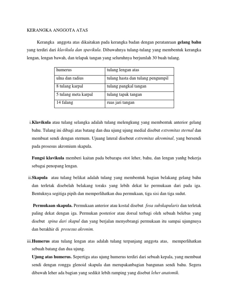 Persendian Antara Tulang Lengan Dengan Gelang Bahu Disebut Sendi