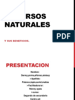 Recursos Naturales de Steissy