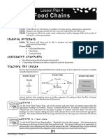 Food Chains: Lesson Plan 4