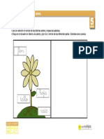 plantas_partesdelaplanta_5.pdf
