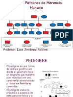 Genética Humana