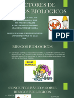 Factores de Riesgos Biologicos