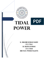 Tidal Power Report