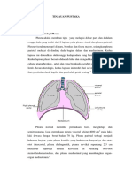 Efusi Pleura