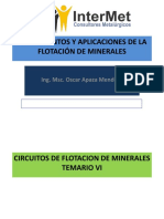 351496250-VI-CIRCUITOS-DE-FLOTACION-pdf.pdf