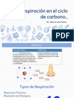 Respiracion en El Ciclo Del Carbono