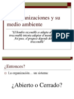 Límites Del Sistema y Medio Amb de Las Org (Sesion 4)