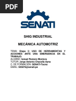 Shig Industrial (Romero Montora Ismael) 2017