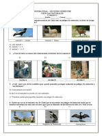 Examen final de Ciencias Naturales sobre animales en peligro de extinción y el medio ambiente