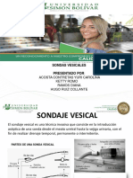 Sondaje Vesical