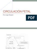 Circulación Fetal