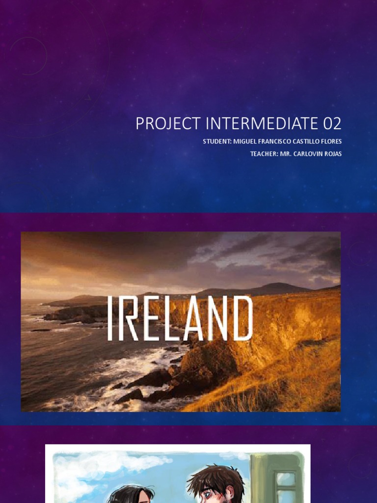 Project Intermediate 02 Overview | PDF