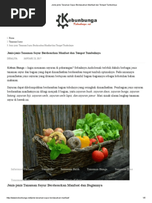 Jenis Jenis Tanaman Sayur Berdasarkan Manfaat Dan Tempat Tumbuhnya