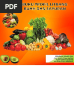 Download Buku Profil Litbang Buah Sayur BBIA by Irwan Sutiarna SN377093351 doc pdf