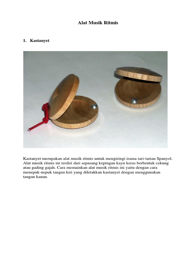 Alat Musik Ritmis