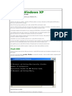DNS No Windows XP
