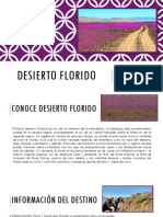 Desierto Florido